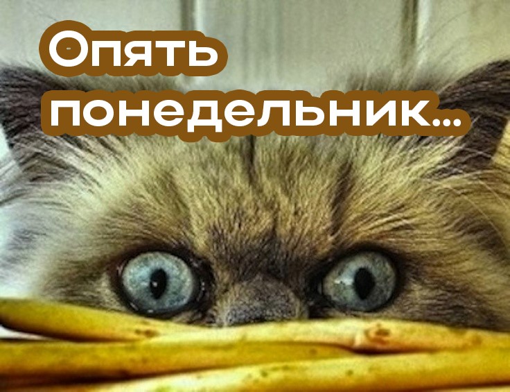 Опять понедельник....
